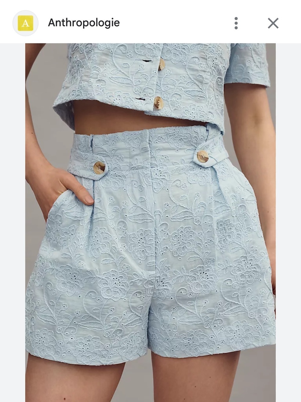 Walter Baker Pale Blue Lace Short from Anthropologie - Picture 3 of 4